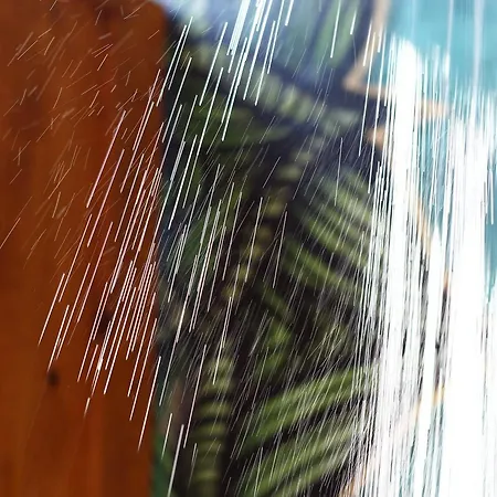 בית הארחה Casa Da Mata Surfhouse