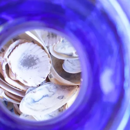 Casa Da Mata Surfhouse