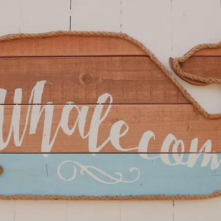 Casa Da Mata Surfhouse Maison d'hôtes *