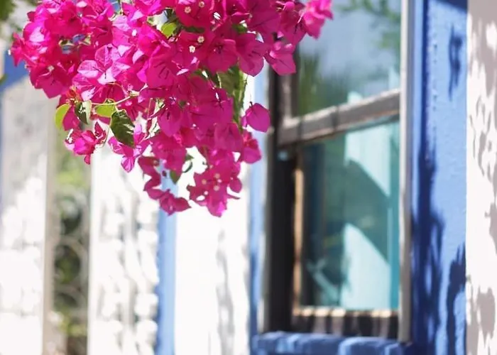 Casa Da Mata Surfhouse